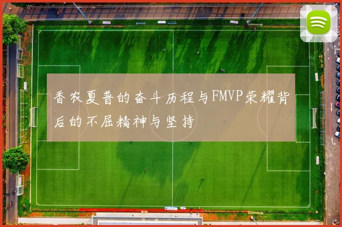 香农夏普的奋斗历程与FMVP荣耀背后的不屈精神与坚持