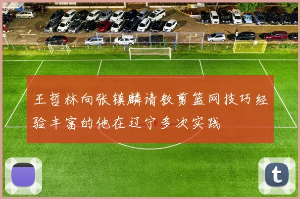 王哲林向张镇麟请教剪篮网技巧经验丰富的他在辽宁多次实践